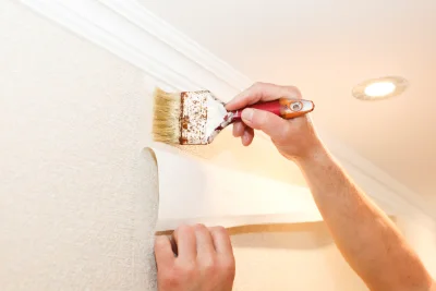 Pose de papier peint à Mont-Disse — revêtements muraux et toiles de verre